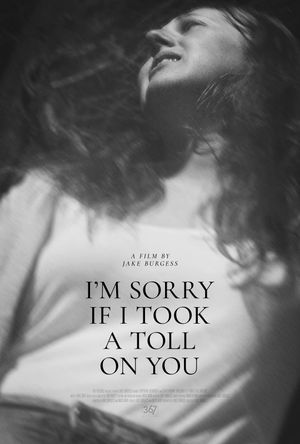 I'm Sorry If I Took a Toll on You's poster