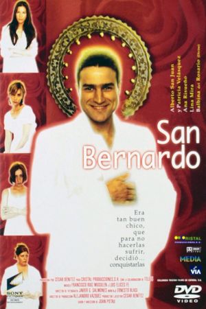 Saint Bernard's poster