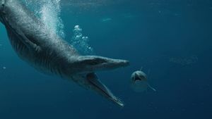 Attenborough and the Giant Sea Monster's poster