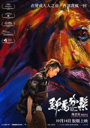 Striding Into the Wind's poster