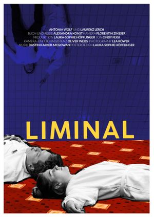 Liminal's poster