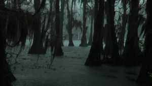 Uncertain's poster