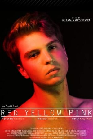 Red Yellow Pink's poster