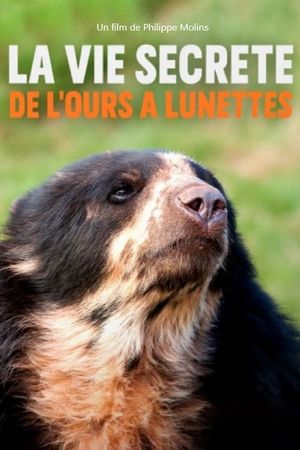 La vie secrète de l’ours à lunettes's poster image