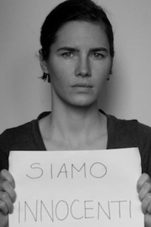 The Amanda Knox Saga's poster