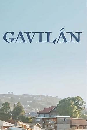 Gavilàn's poster