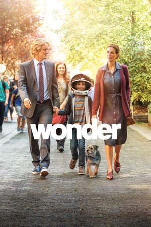 Wonder's poster