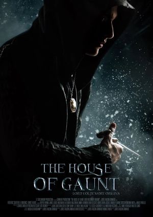 The House of Gaunt's poster