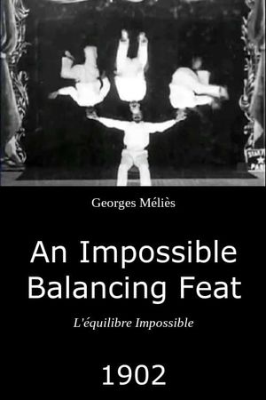 An Impossible Balancing Feat's poster