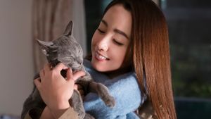 The Cat in Their Arms's poster