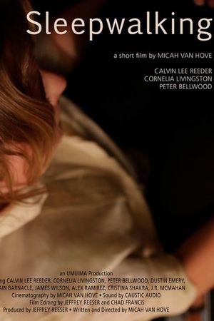 Sleepwalking's poster