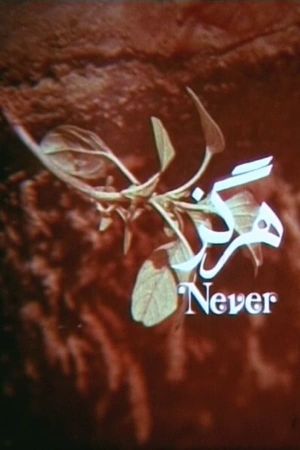 Never's poster