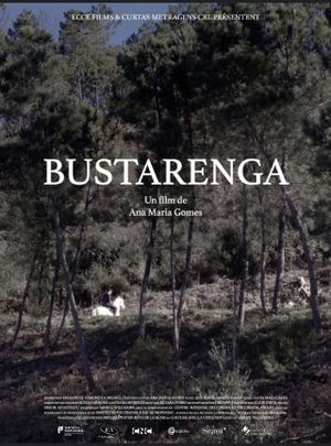 Bustarenga's poster