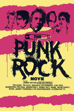 The Punk Rock Movie from England's poster