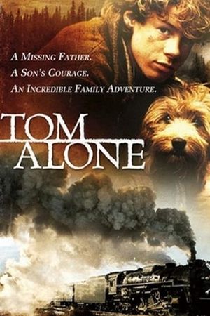 Last Train Home's poster