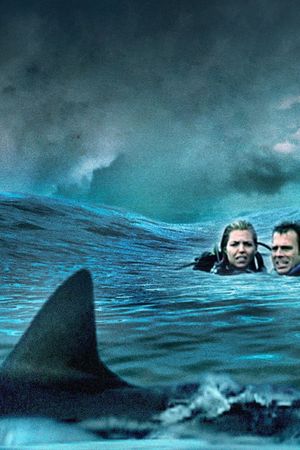 Open Water's poster