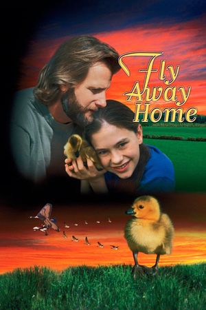 Fly Away Home's poster