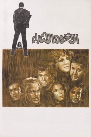 The Estranged Brothers's poster