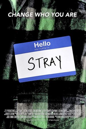 Stray's poster