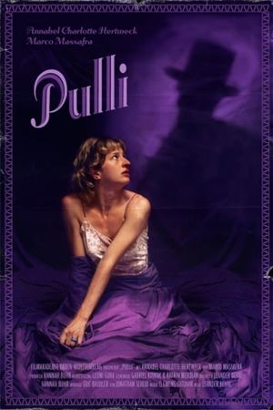 Pulli's poster image