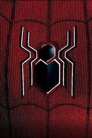 Spider-Man: All Roads Lead to No Way Home's poster