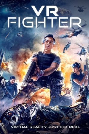 VR Fighter's poster