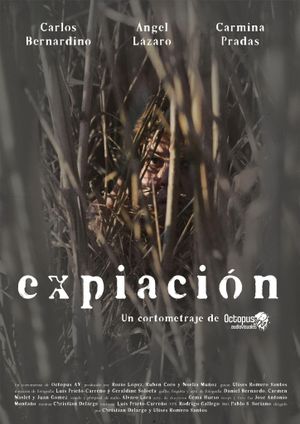 Expiación's poster