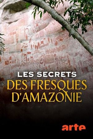 Les secrets des fresques d'Amazonie's poster