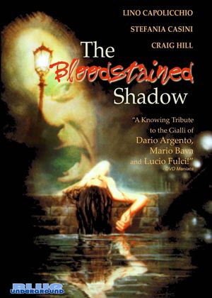The Bloodstained Shadow's poster
