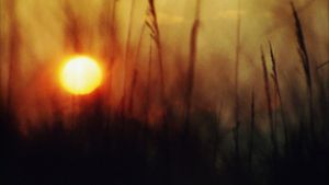 Sun Don't Shine's poster