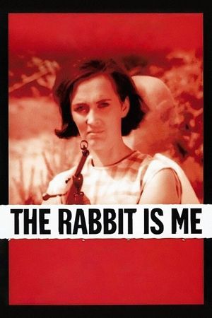 The Rabbit Is Me's poster