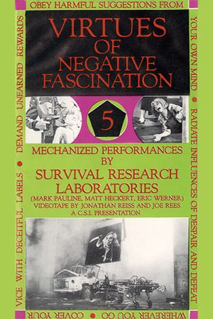 Virtues Of Negative Fascination's poster