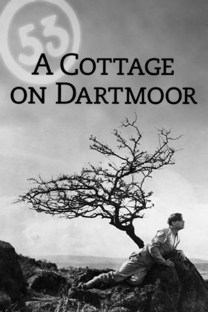 Escape from Dartmoor's poster