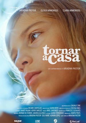 Tornar a casa's poster