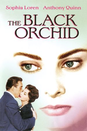 The Black Orchid's poster