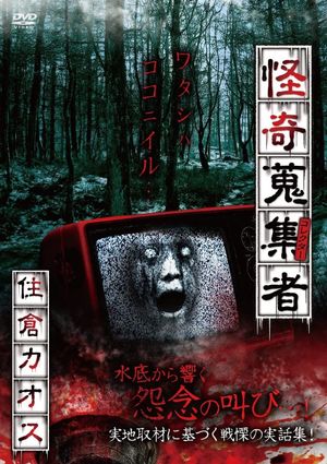 Mysterious Collector Kaosu Sumikura's poster
