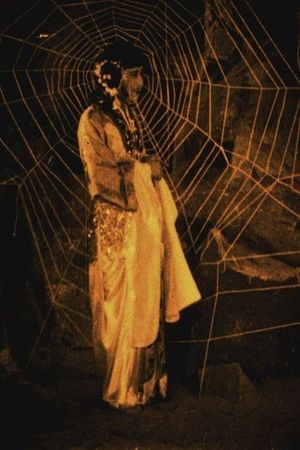 The Cave of the Silken Web's poster