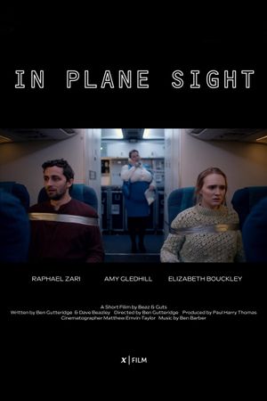 In Plane Sight's poster