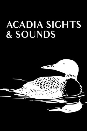 Acadia Sights & Sounds's poster