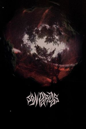 Grey at Night's poster