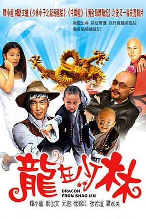 Dragon from Shaolin's poster