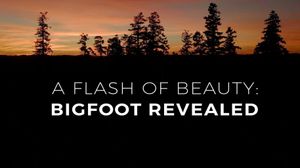 A Flash of Beauty: Bigfoot Revealed's poster