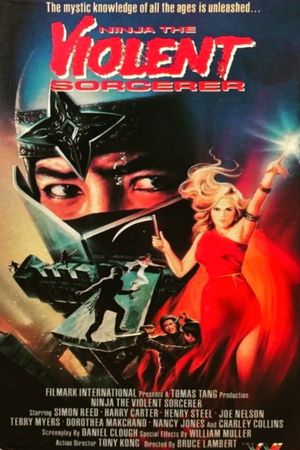 Ninja: The Violent Sorceror's poster