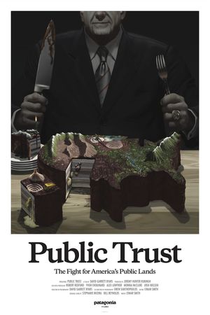 Public Trust's poster
