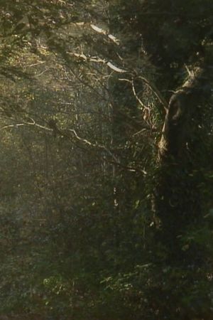 The Secluded Grove's poster