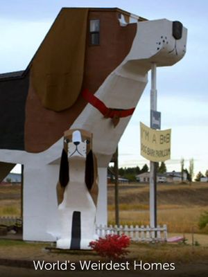 World's Weirdest Homes's poster