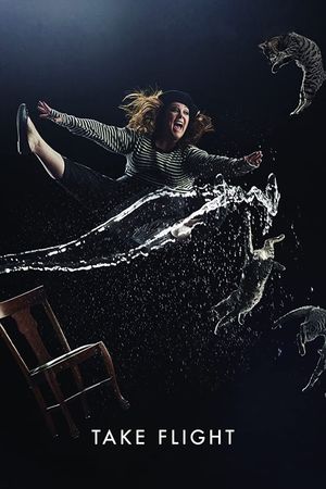 Take Flight's poster