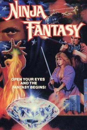 Ninja Fantasy's poster