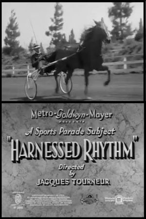 Harnessed Rhythm's poster