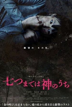 Vanished Girl in the Woods's poster